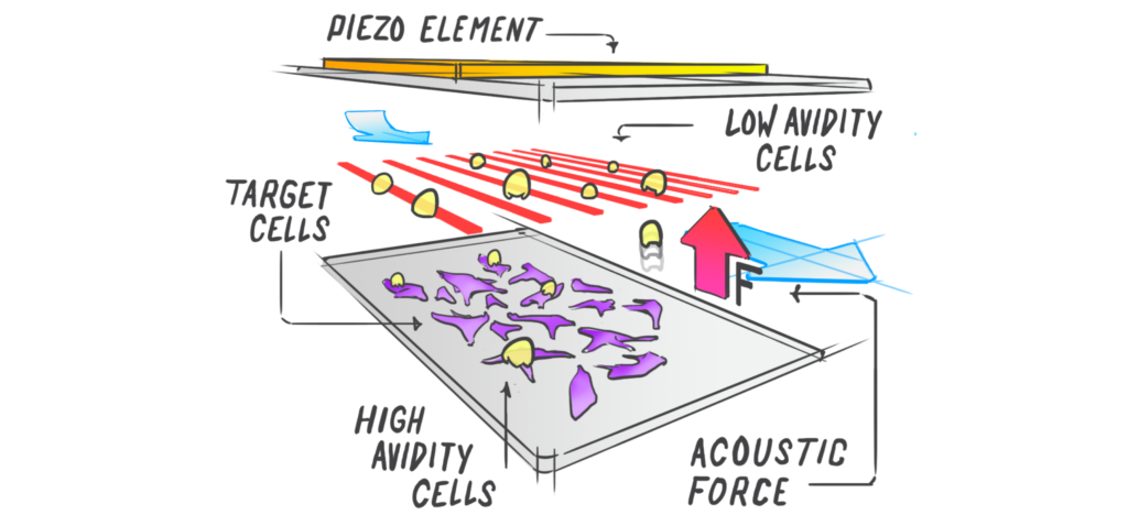 High-Throughput Label-free Cell Interaction Studies