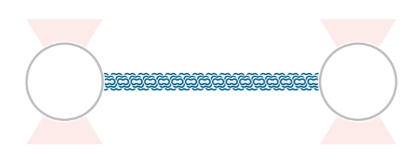 Protein Filaments