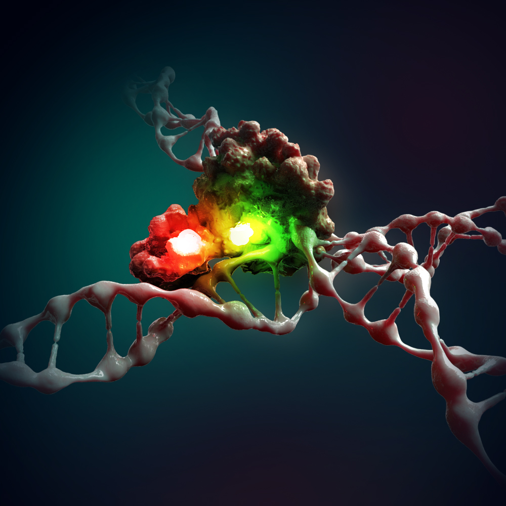 DNA-repair-Nature