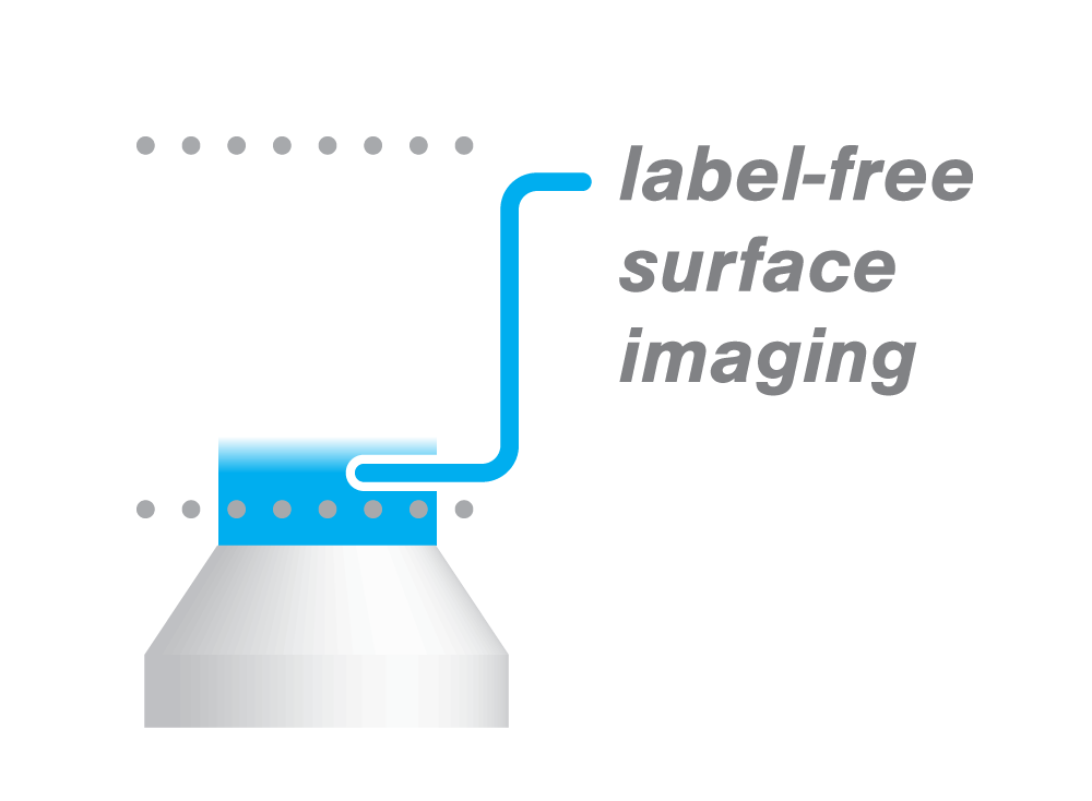 IRM - label-free surface imaging