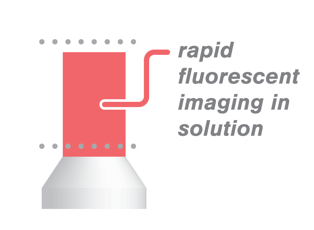 IRM Widefield - rapid fluorescenc imaging in solution