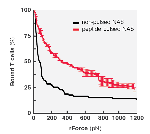 Avidity Curve Na8 Peptide Pulsing QM