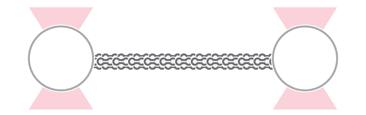 C-Trap Filaments