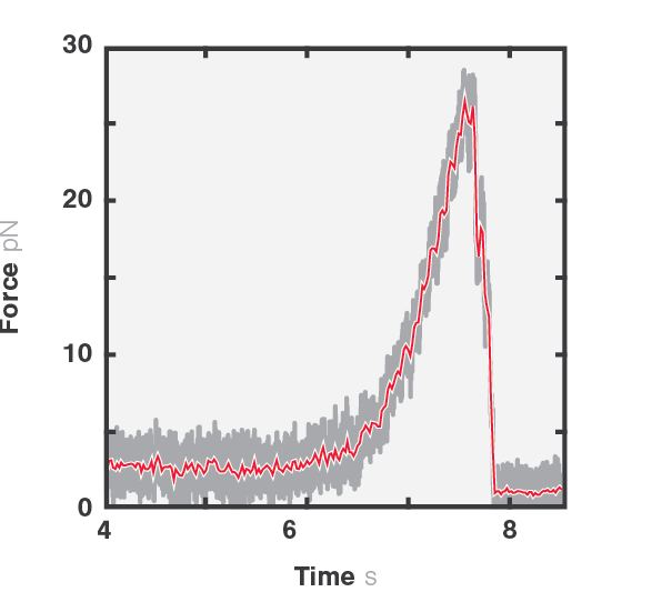C Trap Microtubule Force Clamp 50 Hz and 30 kHz