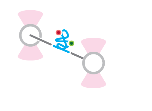 Schematic Optical Tweezers Fluorescence Microscopy Protein Folding