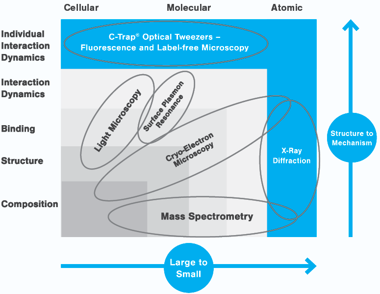 correlating structure to function schematic