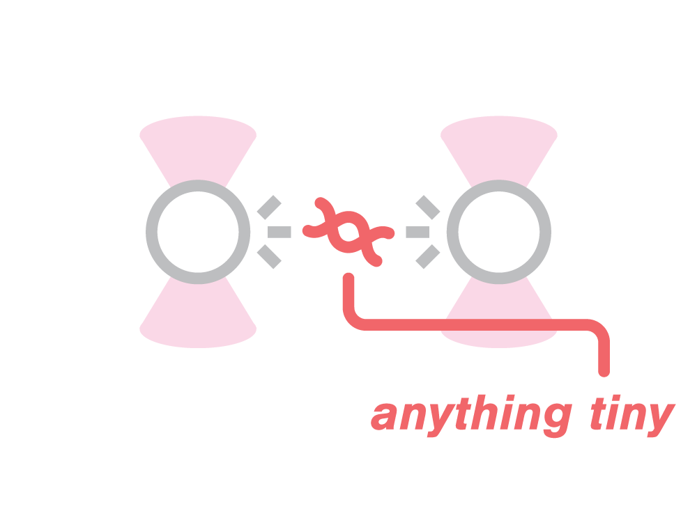 Optical Tweezers Explained