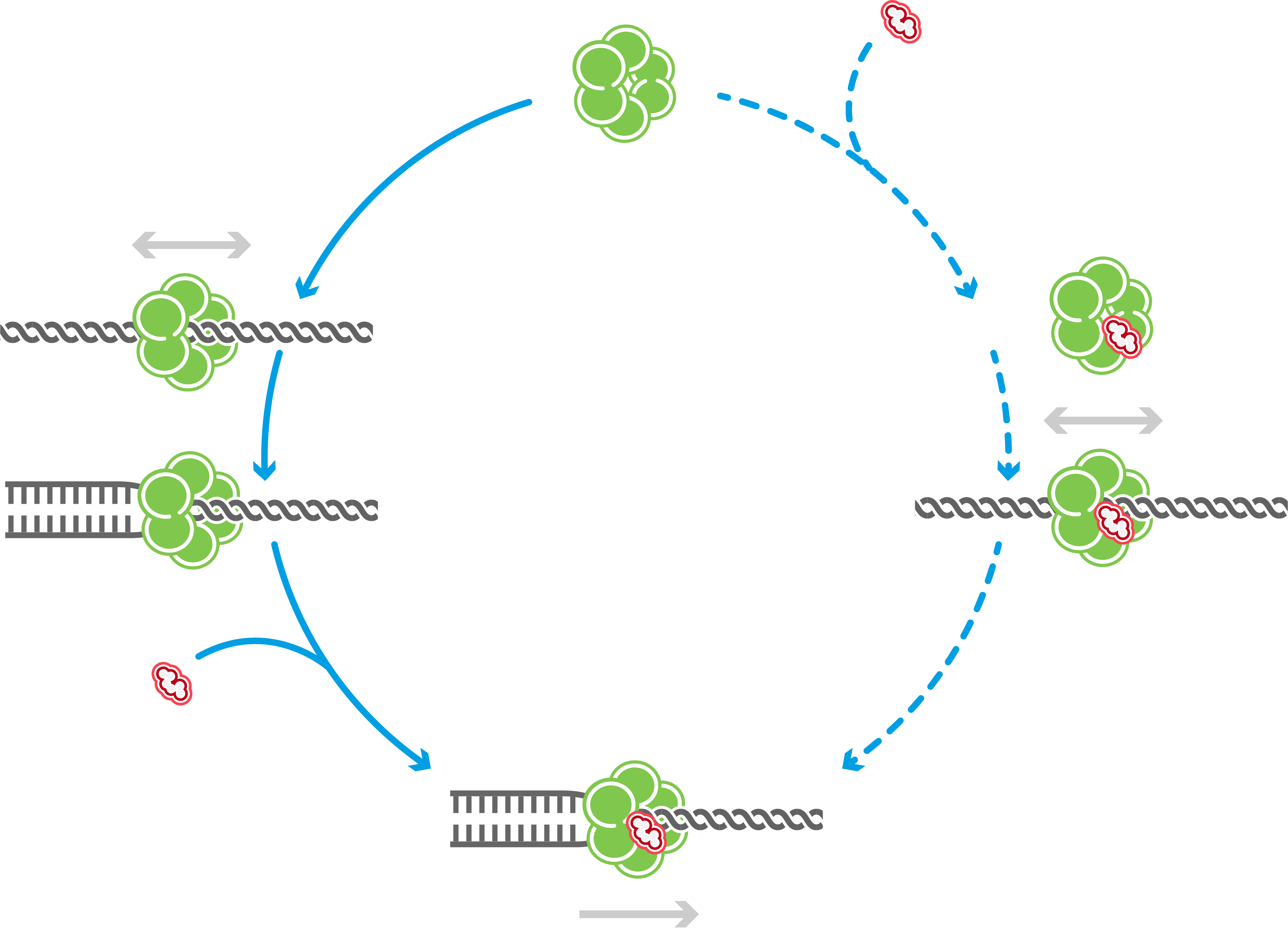 Dynamic single-molecule methods add the missing link