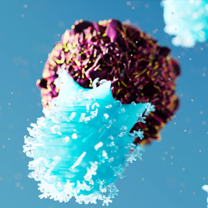 CAR T cells with cell avidity analysis
