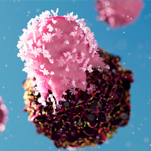 TCR T cells with cell avidity analysis