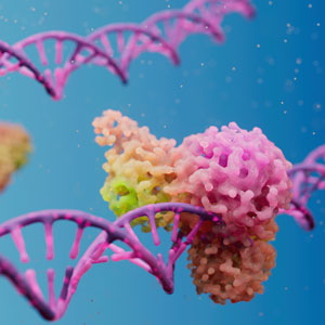 DNA-binding proteins with dynamic single-molecule analysis