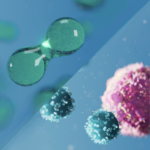 Phase separation and Mechanobiology