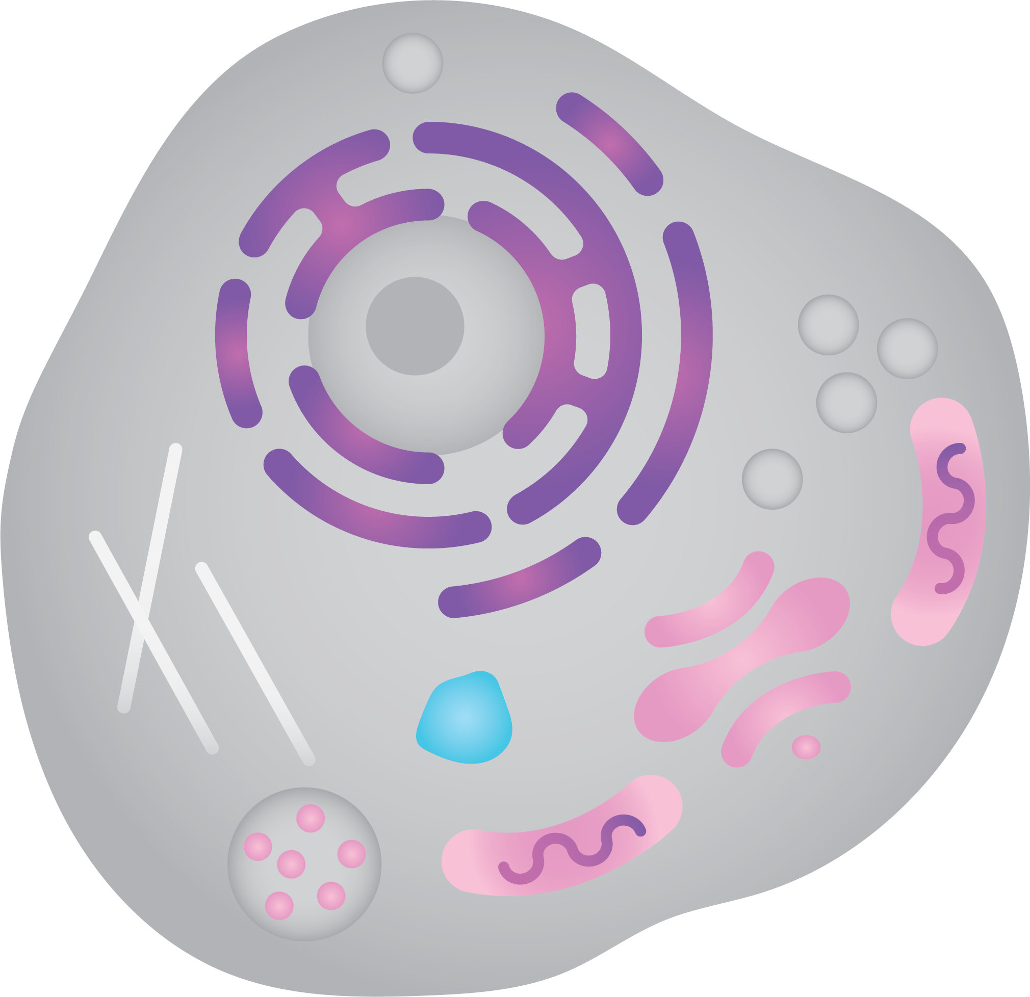 Cell