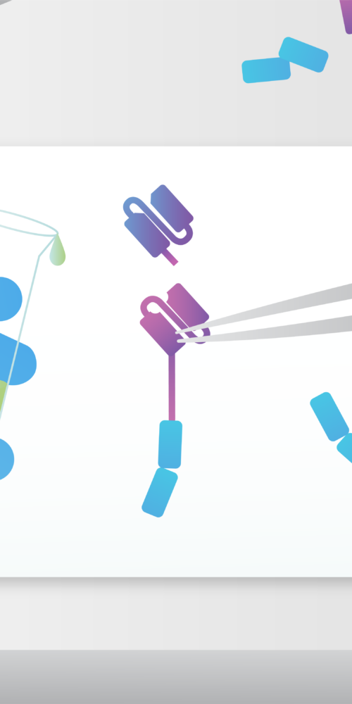 Two gloved hands with tweezers holding the PBTE cell engager for use in a scientific experiment.